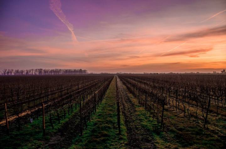 Logroño, capital de la región de lo viñedos. Foto: Facebook 'Bodegas Franco-Españolas'