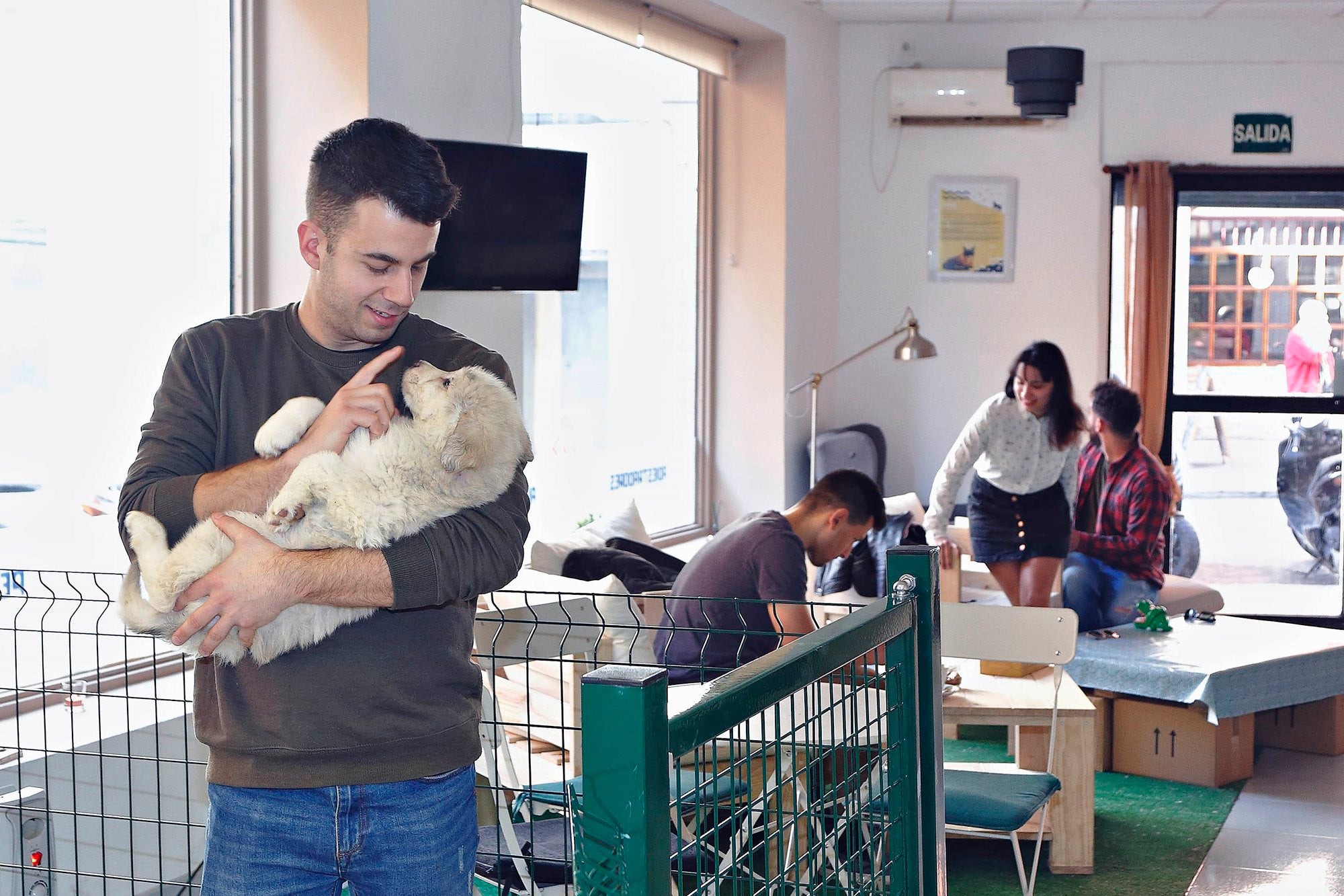 Un café entre cachorros