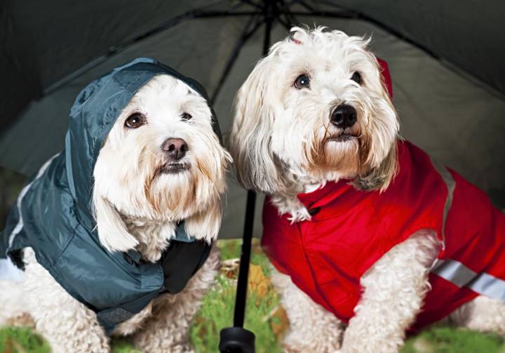 Un impermeable viene bien para los días de lluvia. Foto: shutterstock.