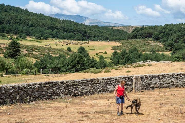 Señora con su perro en la Sierra de Guadarrama.