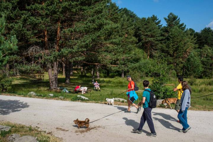 Salida del Puerto de Canencia con los perros.