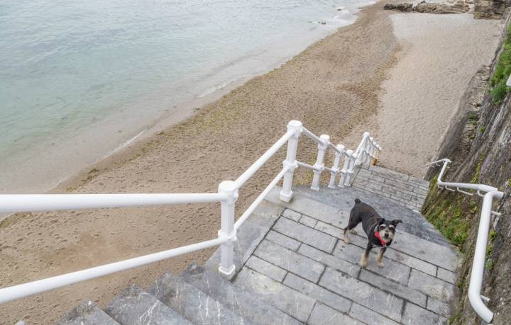 Colega dispuesto a darse un baño en la playa de El Rinconín.