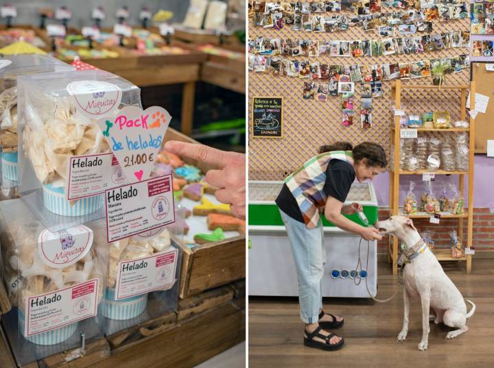 Pack de helados en la tienda de mascotas Miguitas