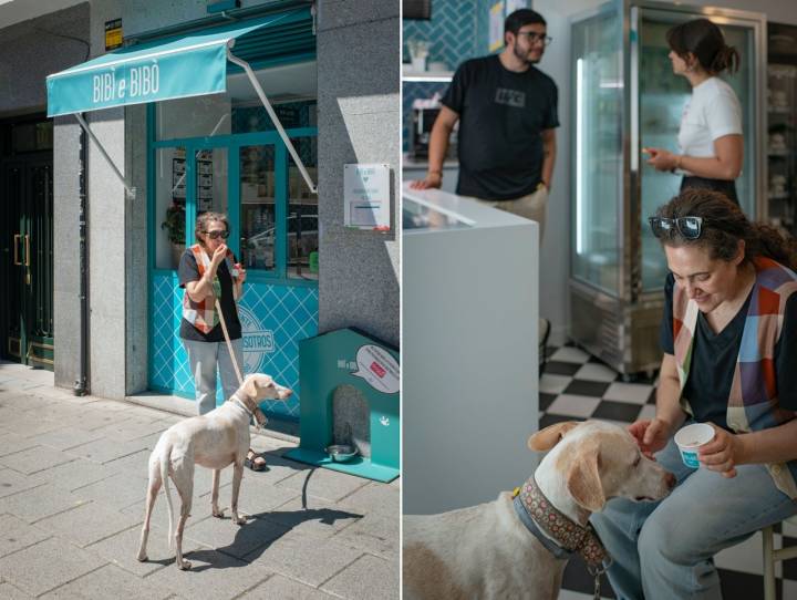 Entra de la heladería para mascotas Bibì e Bobó.