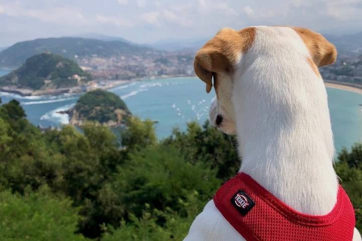 El hotel favorito de Pipper en San Sebastián se encuentra en el Monte Igueldo. Foto: Instagram Pipper.