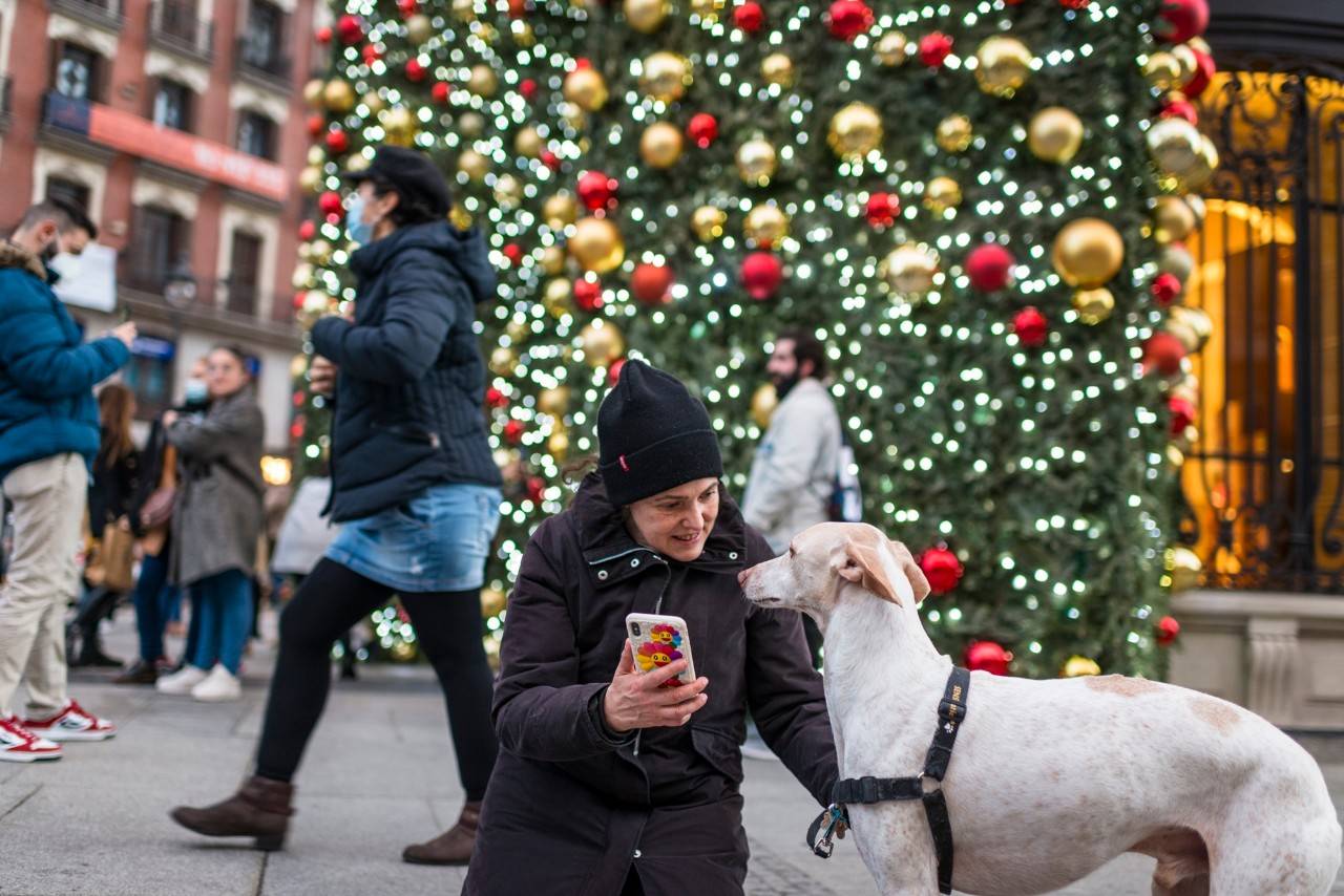 10 claves para una Navidad muy canina