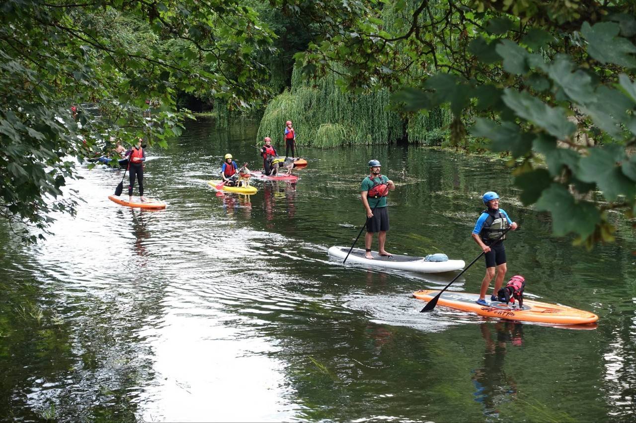 El 'paddle surf' es uno de los deportes que se pueden practicar con tu mascota. Foto: Shutterstock.