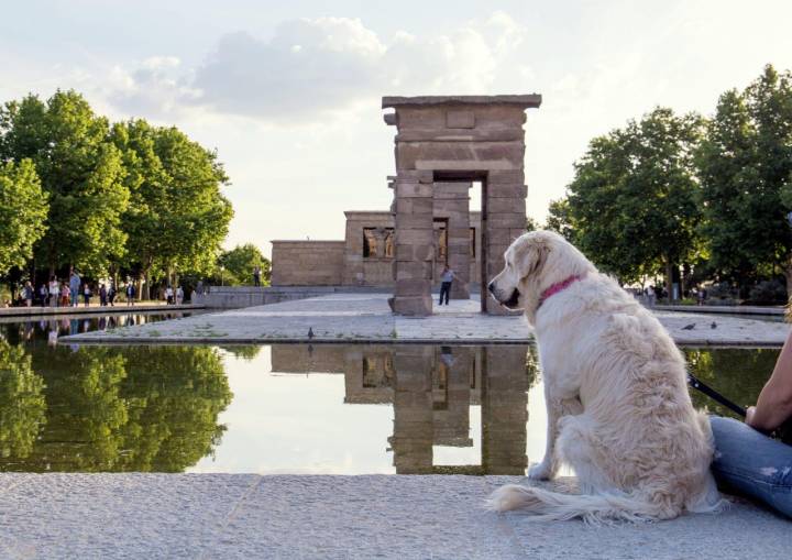 Una parada en el Templo de Debod durante una ruta cultural por el centro de Madrid. Foto: Shutterstock