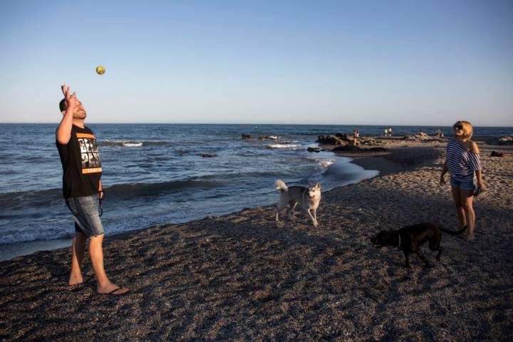 Pelota Playas caninas