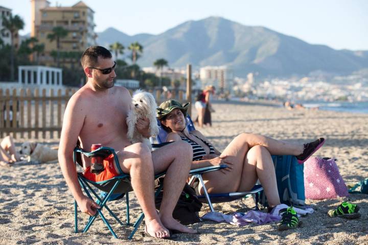 Bichón playa