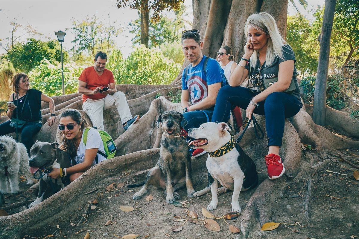 Una escuela canina en plena calle