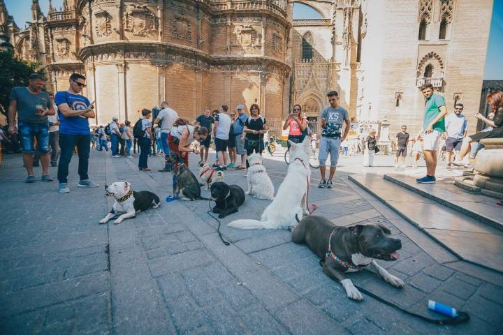 El grupo de la ruta atrae todas las miradas cumpliendo el reto: quietos hasta la orden.