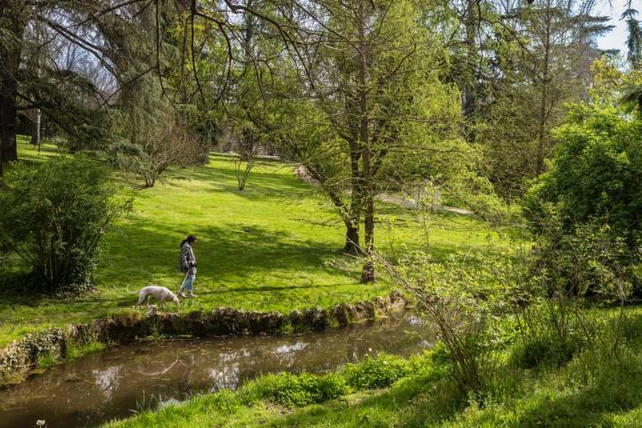 Naturaleza en estado puro.