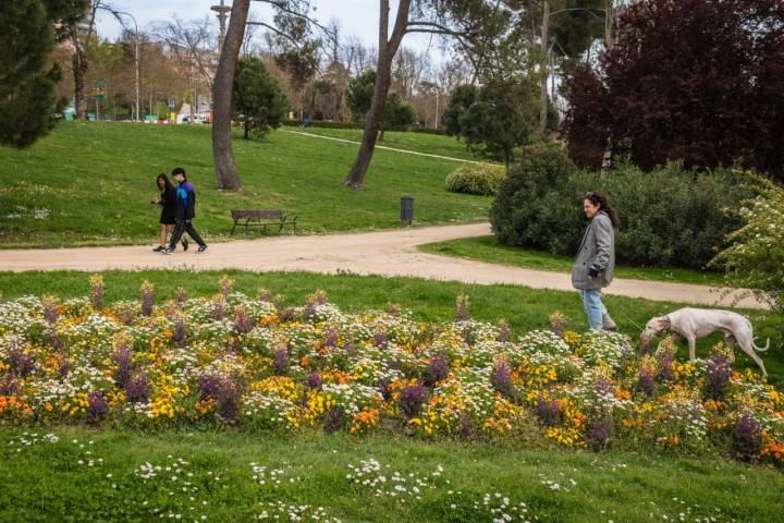 La primavera explosiona ya en parque.