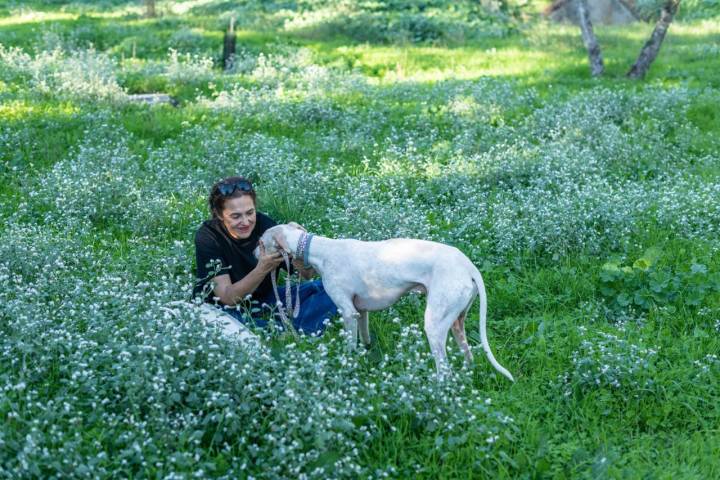 Ruta con perro por la Casa de Campo de Madrid