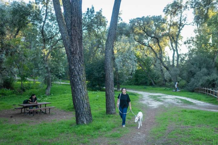 Ruta con perro por la Casa de Campo de Madrid