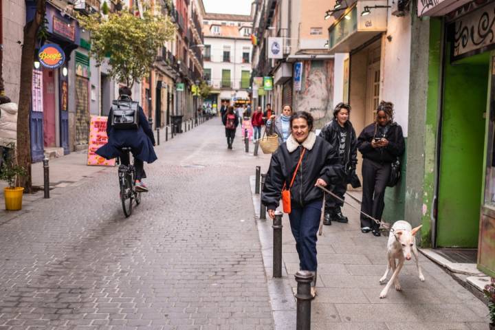 Los perros han de ir atados con una correa cuando caminen por la calle.