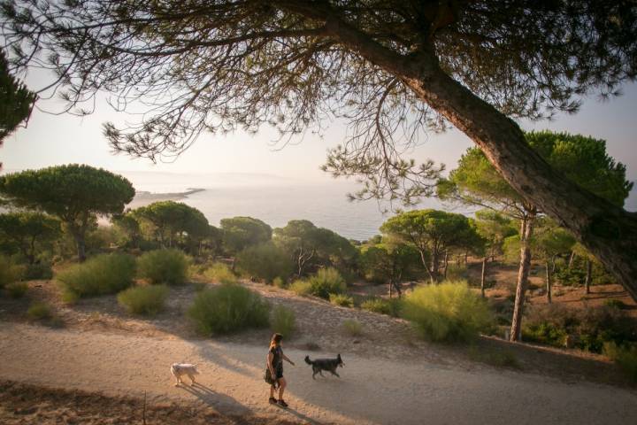 La ruta comienza a descender y la familia perruna busca el famoso Chorro en las proximidades.