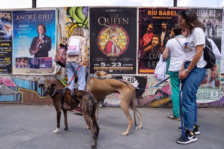 A través del ojo de buey se puede ver el antiguo polideportivo de la plaza del Mercado de la Cebada.