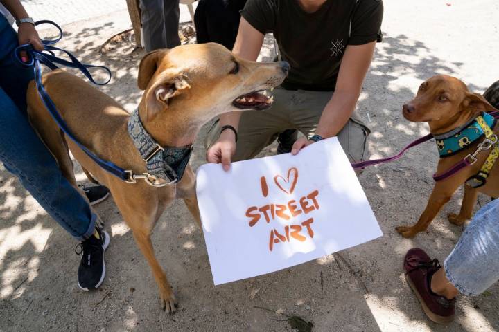 Además de contemplar arte, los humanos también realizan su pequeña aportación grafitera.