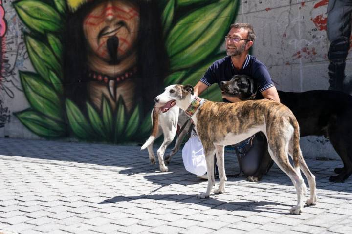 Un poco de agua y de pienso en bola harán más llevadera la ruta a los animales.