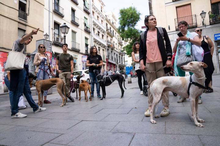 La comitiva resultó tan numerosa que ya está planeada otra ruta con mascotas.