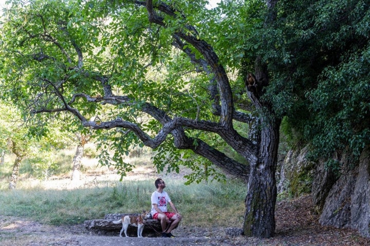 Sentarse a la sombra en mitad de la ruta.