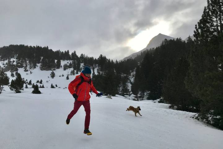 Rutas perro Pirineo Huesca apertura Llanos del Hospital