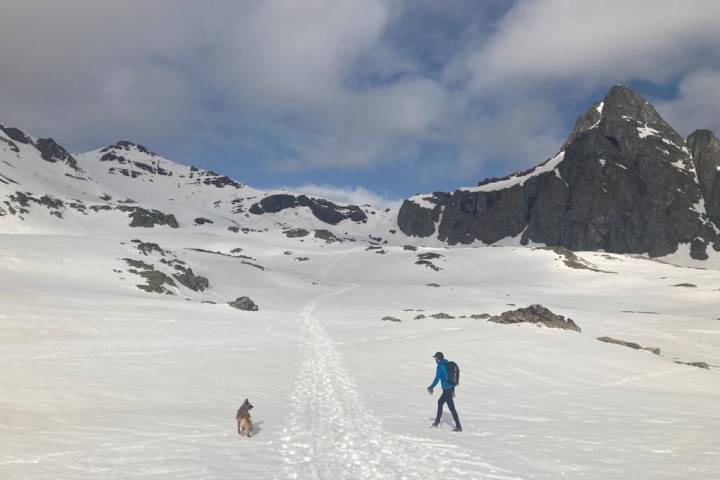 Ruta perro nieve