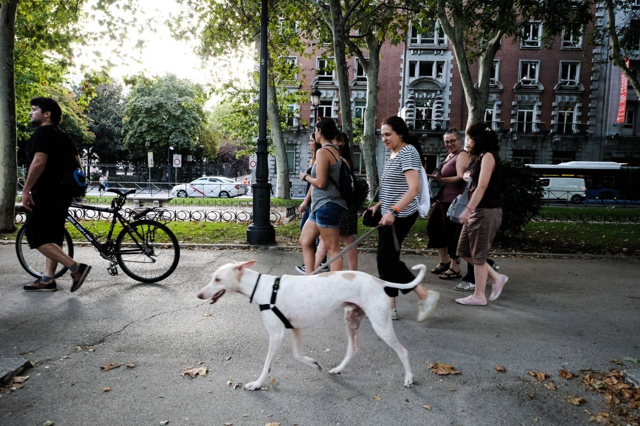 A los perros también les gustan las rutas culturales