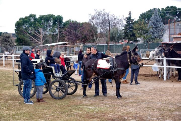 Llegó la hora de montarse en el carro.