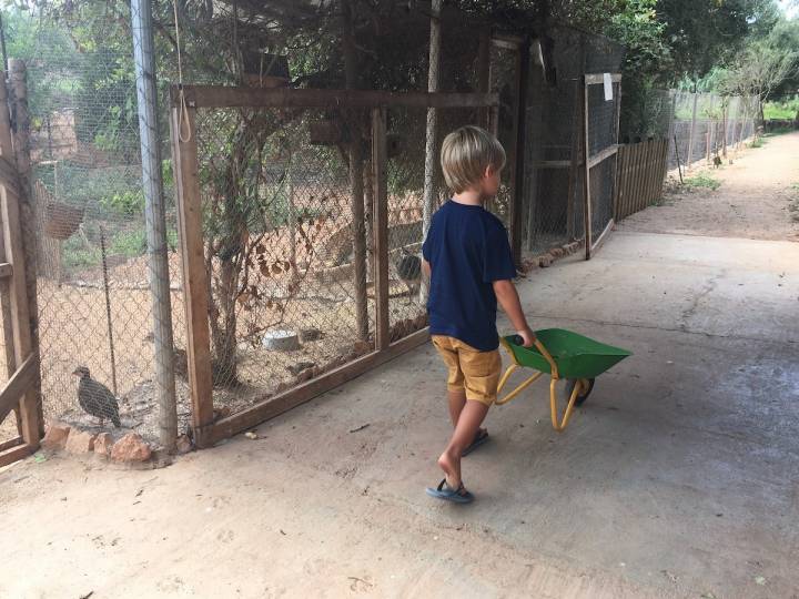 Aquí se aprende jugando a ser granjero en un entorno ecológico y respetuoso.