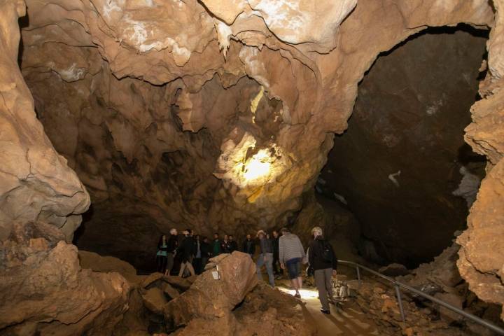 La visita recorre un kilómetro y medio en 60 minutos aproximadamente.