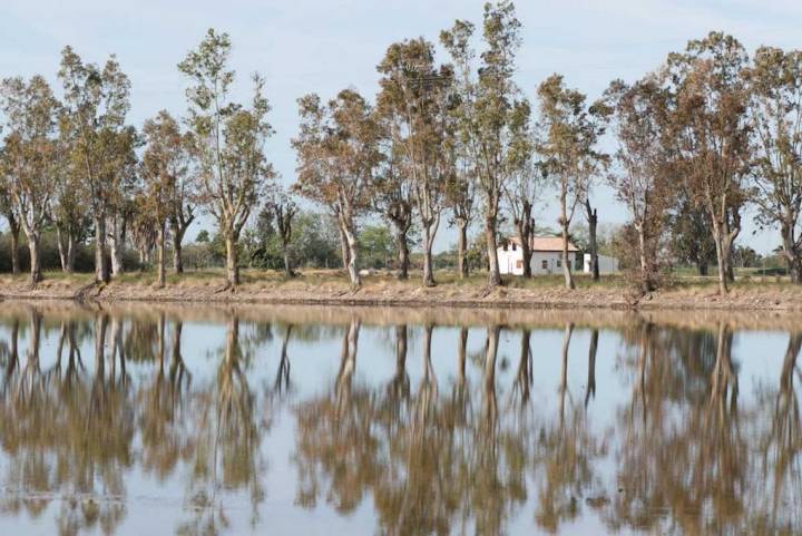 Reflejos en los arrozales, una estampa onírica. Foto: Pekebikers.