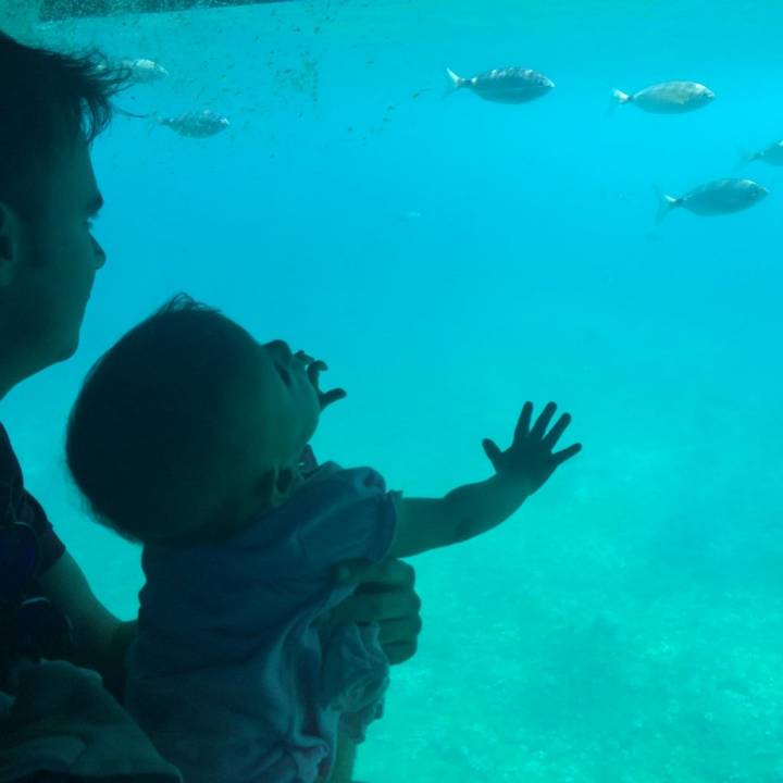 Una excursión que triunfa entre los más pequeños (y mayores). Foto: Johanna Saldón.