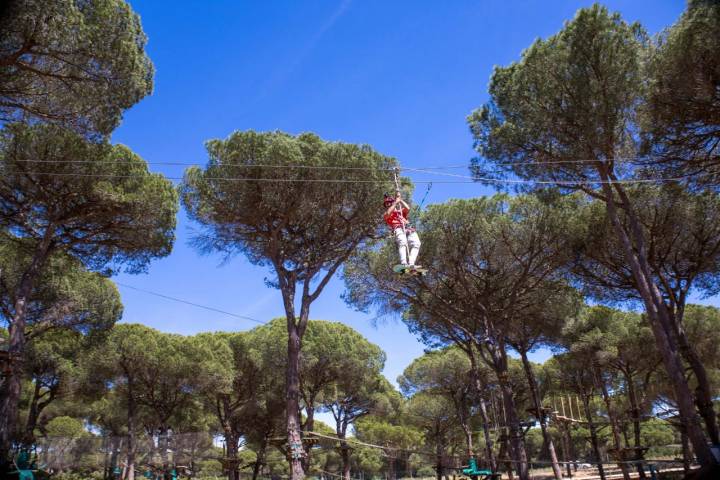 Parque de naturaleza 'Entre Ramas' (Conil de la Frontera, Cádiz)