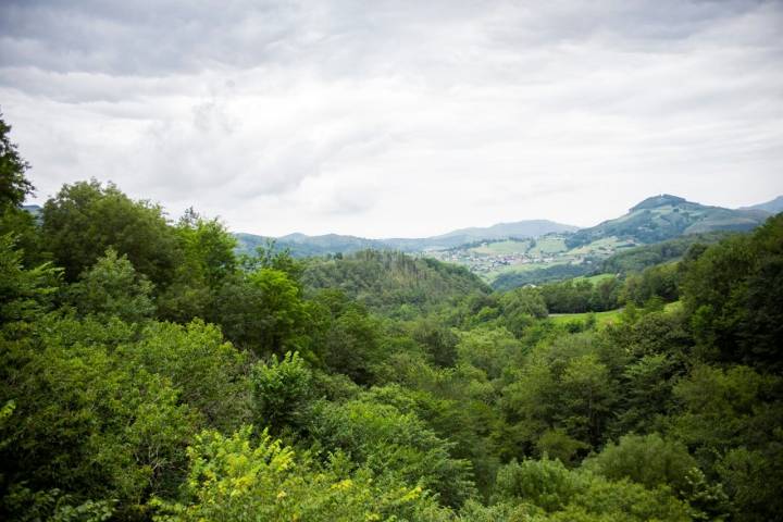 Entorno IrriSarri Land