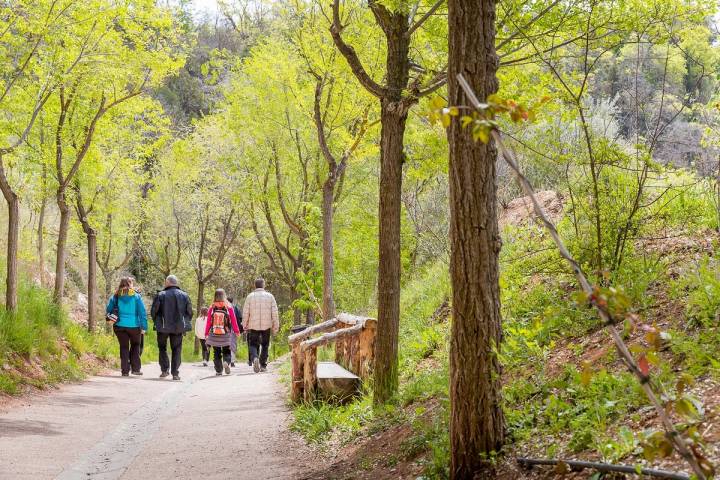 El parque es accesible al público gracias a la labor de Juan Federico Muntadas.