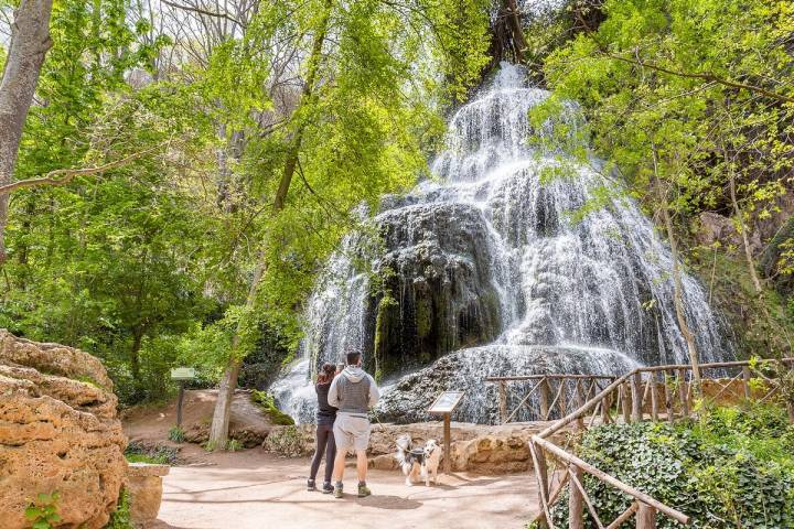 El parque admite la entrada de mascotas, siempre que vayan con correa.