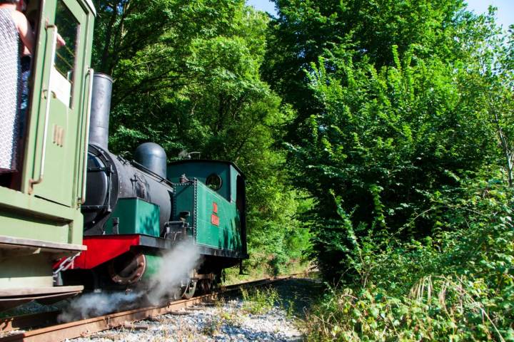 Museo Vasco del Ferrocarril en Azpeitia tren entre los árboles