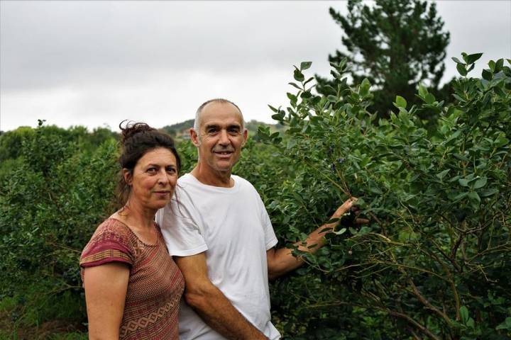 dueños finca el malain