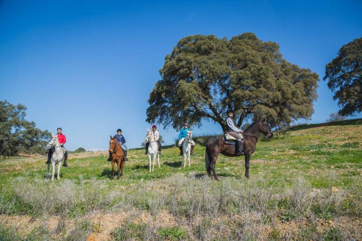 El grupo descansa unos minutos en el Bosque de Las Pinedas, en la mitad de la ruta.