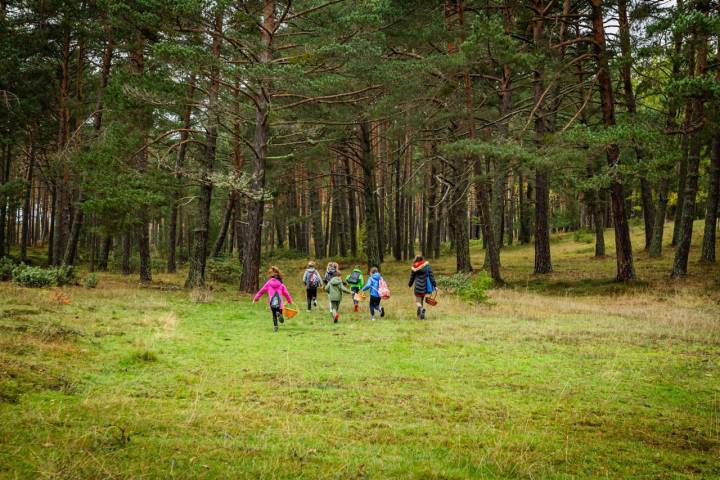 Cualquier excusa es buena para echar a correr por el monte.