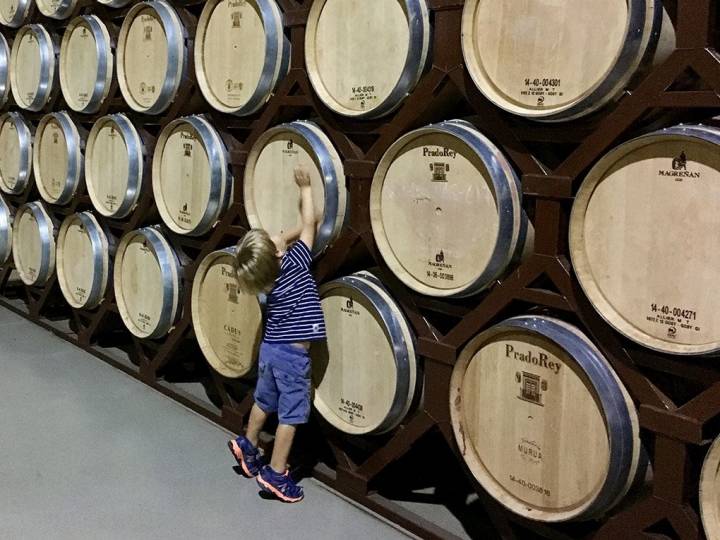 Los niños pueden visitar las bodegas y sorprenderse con la cantidad de barriles.