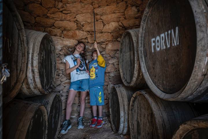 El Vendrell 29/04/23 Visita guiada a la bodega Avgvstvs Forvm. Así como también comida en el espacio gastronomico.AUTOR: MANU MITRU