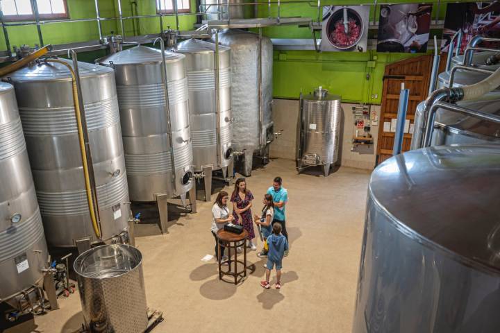 El Vendrell 29/04/23 Visita guiada a la bodega Avgvstvs Forvm. Así como también comida en el espacio gastronomico.AUTOR: MANU MITRU