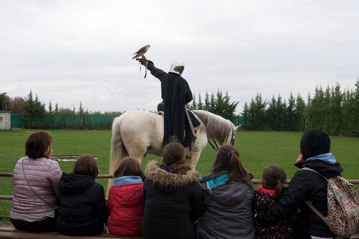 Un narrador va explicando la relación entre las aves rapaces y el hombre.