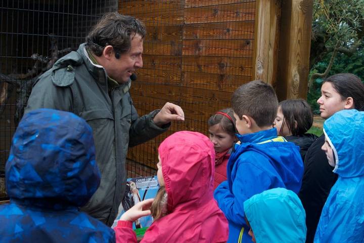 Unas lecciones sobre aves rapaces antes de empezar.