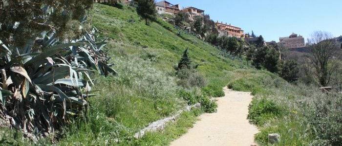 Senda ecológica del río Tajo. /Cedida por: Toledo Guía Turística y Cultural.