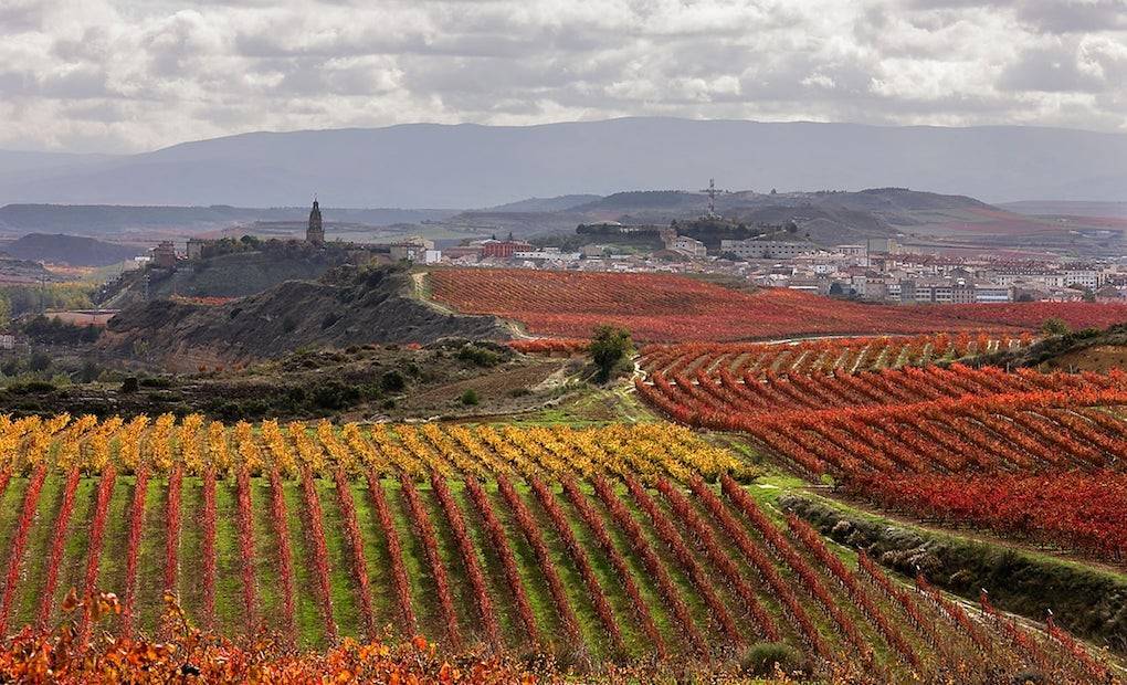 Los 10 lugares imprescindibles de Haro